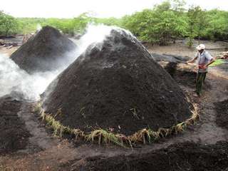 Reducing Global Warming Through Regulation of Charcoal Production
