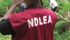3 feared dead, as Police, NDLEA, Kwara Poly Students clash