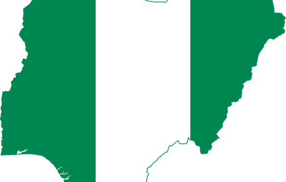 Appreciating the Minimum Offer of Nationality From the Nigerian State